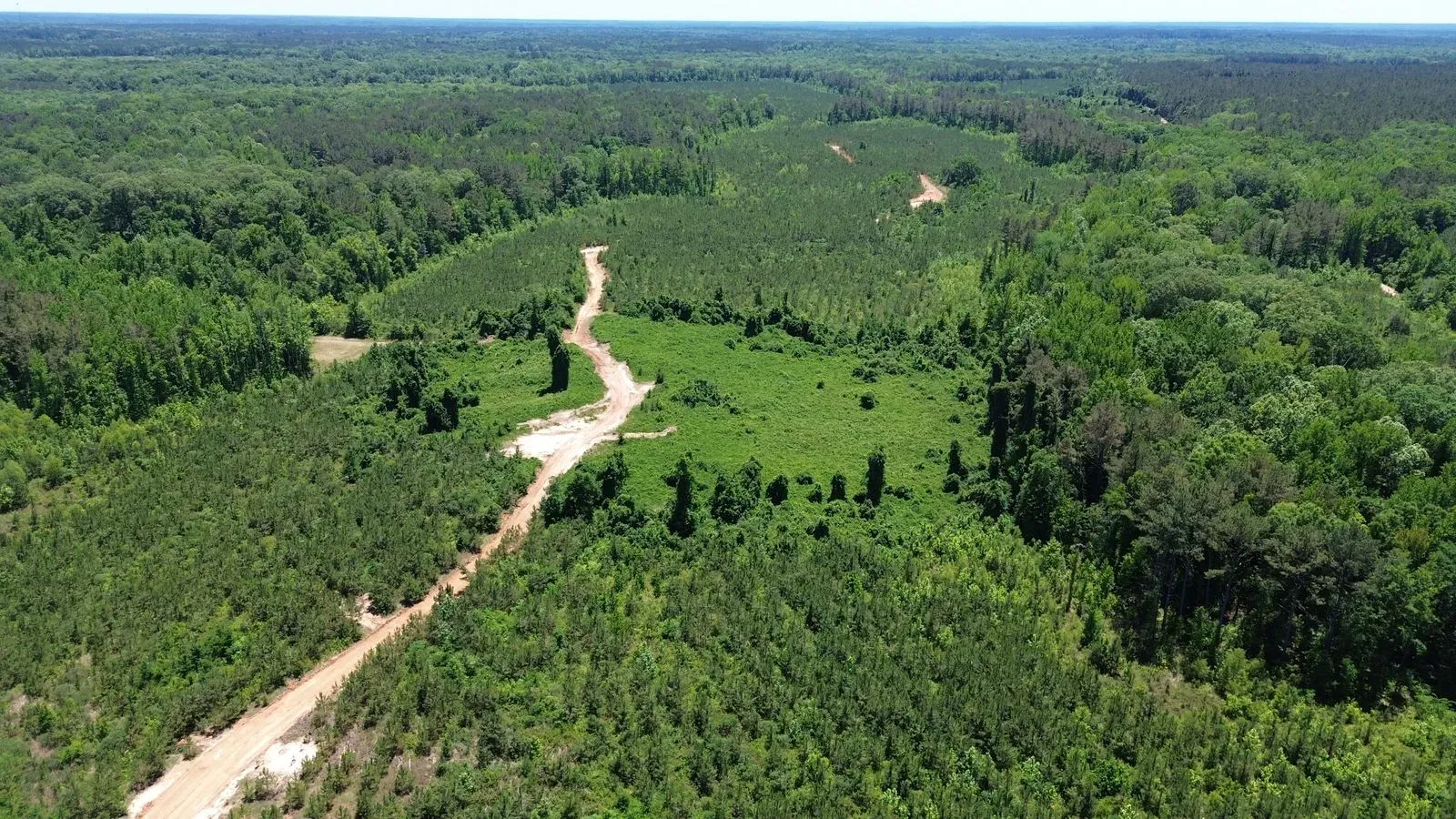 452 +/- Acres, Madison County, photo 10 - DeLong & Barksdale Realty