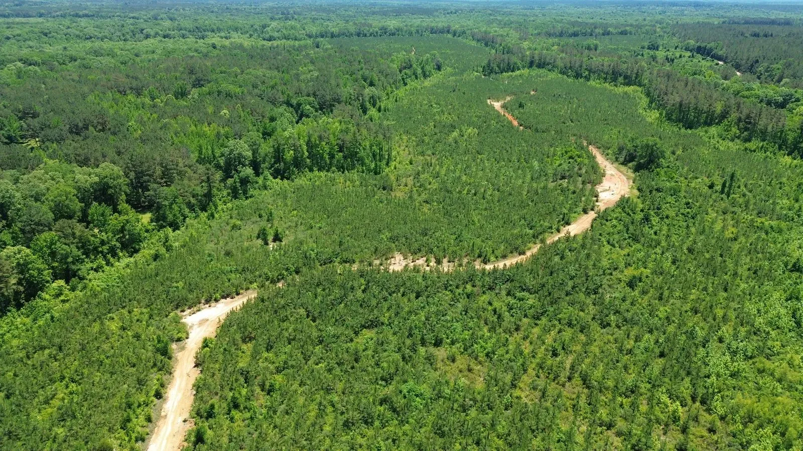 452 +/- Acres, Madison County, photo 9 - DeLong & Barksdale Realty