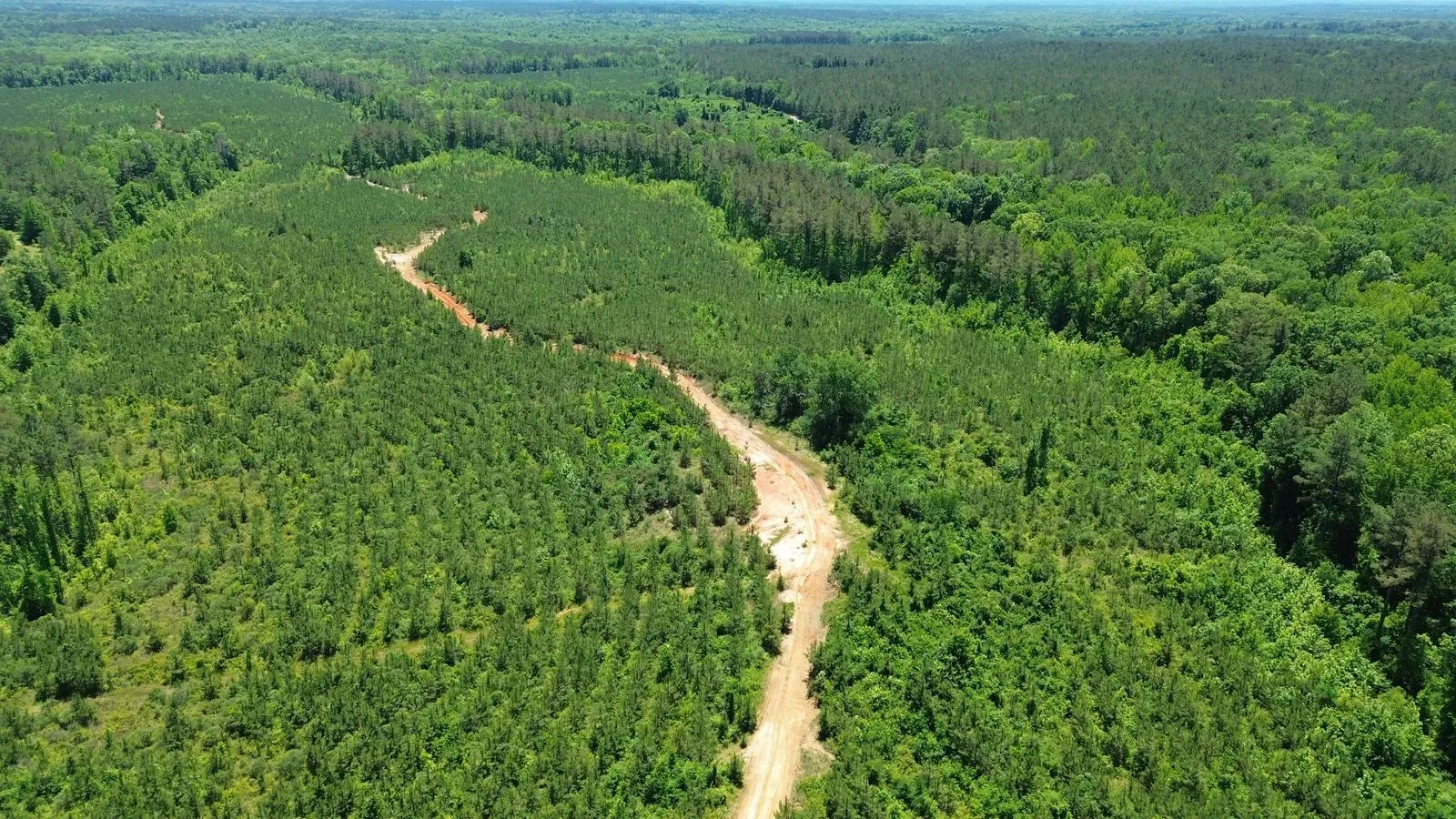 452 +/- Acres, Madison County, photo 5 - DeLong & Barksdale Realty