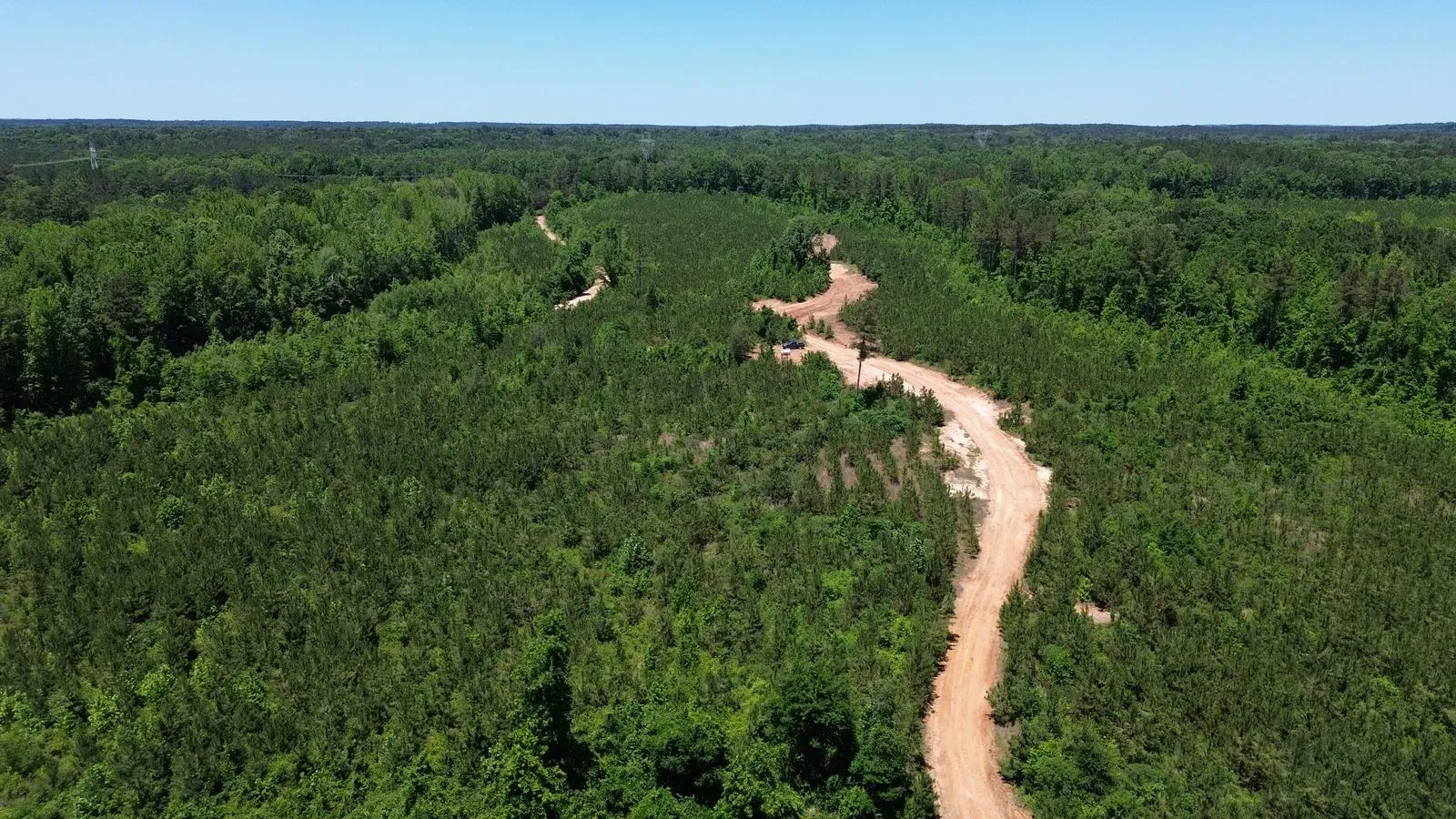 452 +/- Acres, Madison County, photo 2 - DeLong & Barksdale Realty