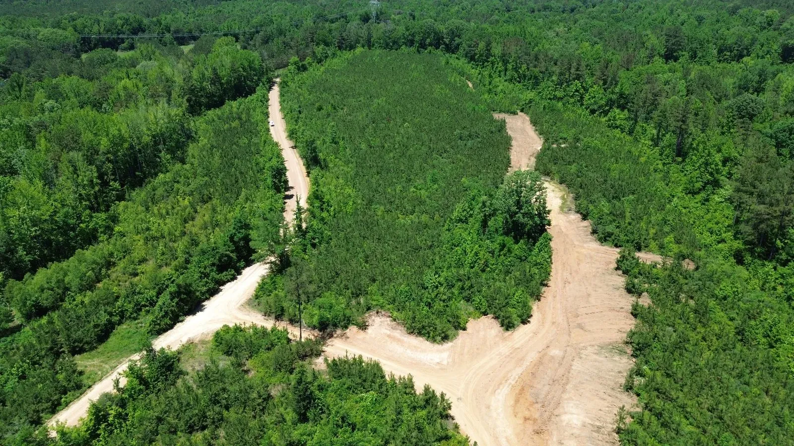 452 +/- Acres, Madison County, photo 7 - DeLong & Barksdale Realty
