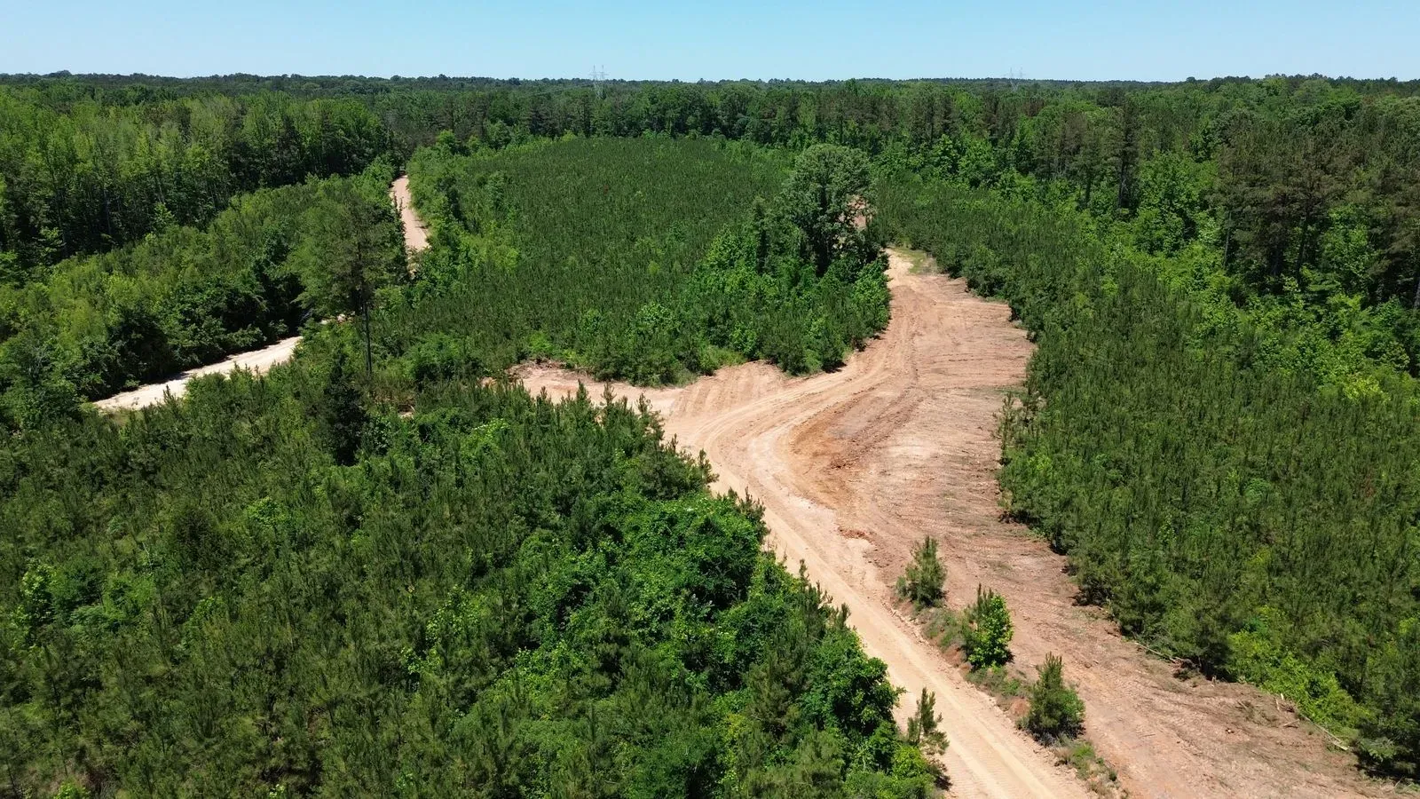 452 +/- Acres, Madison County, photo 4 - DeLong & Barksdale Realty