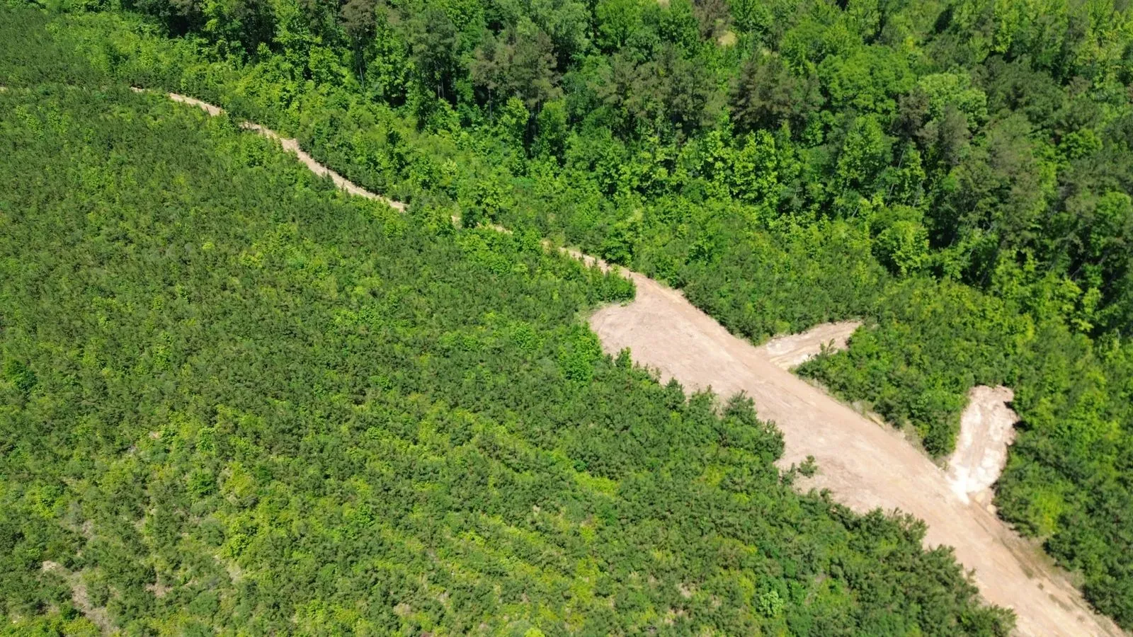 452 +/- Acres, Madison County, photo 6 - DeLong & Barksdale Realty