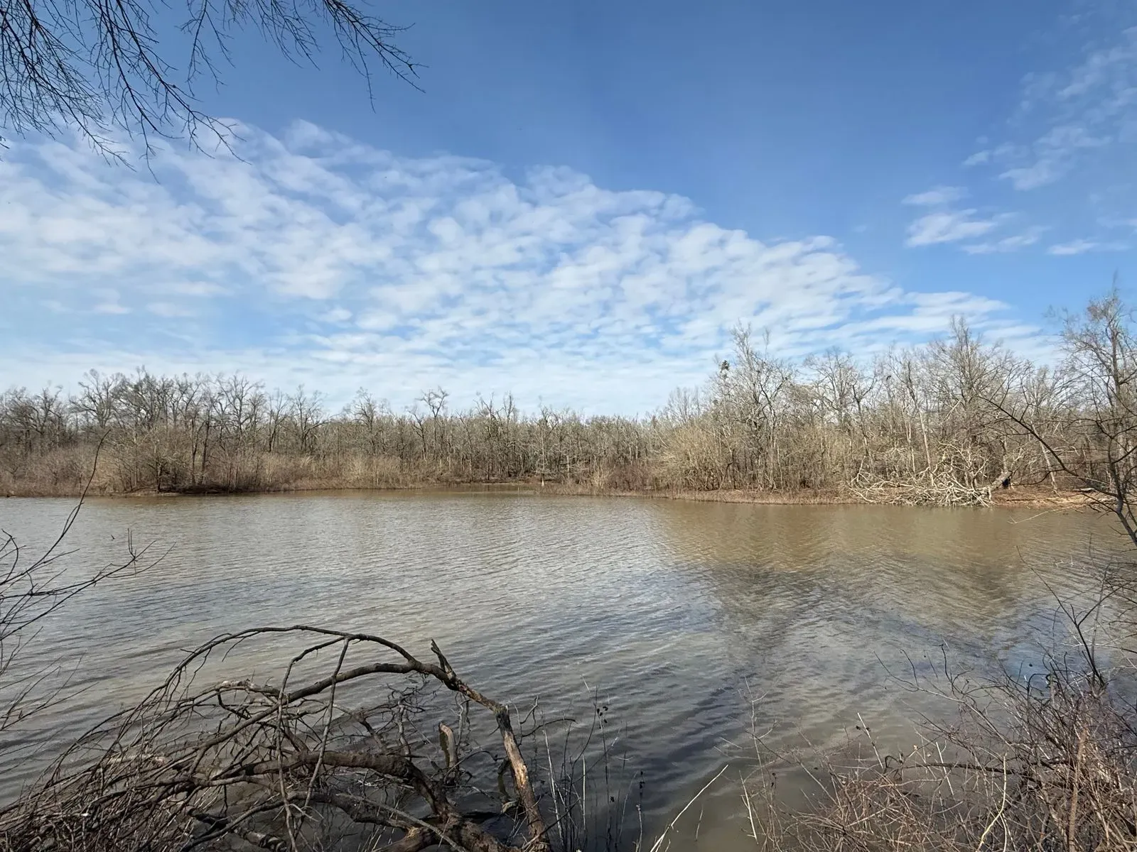 25 +/- Acres, Yazoo County, photo 4 - DeLong & Barksdale Realty