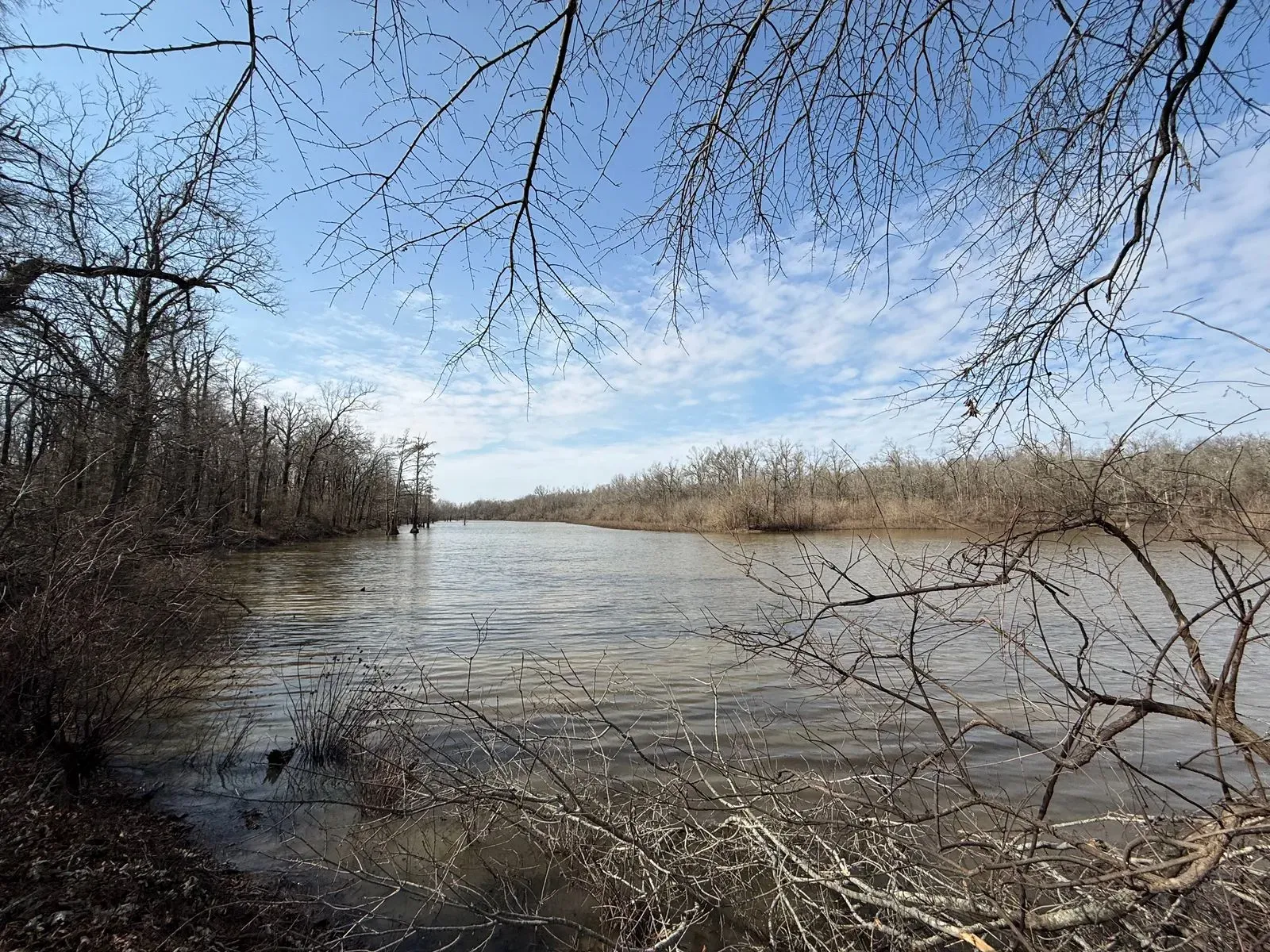 25 +/- Acres, Yazoo County - DeLong & Barksdale Realty