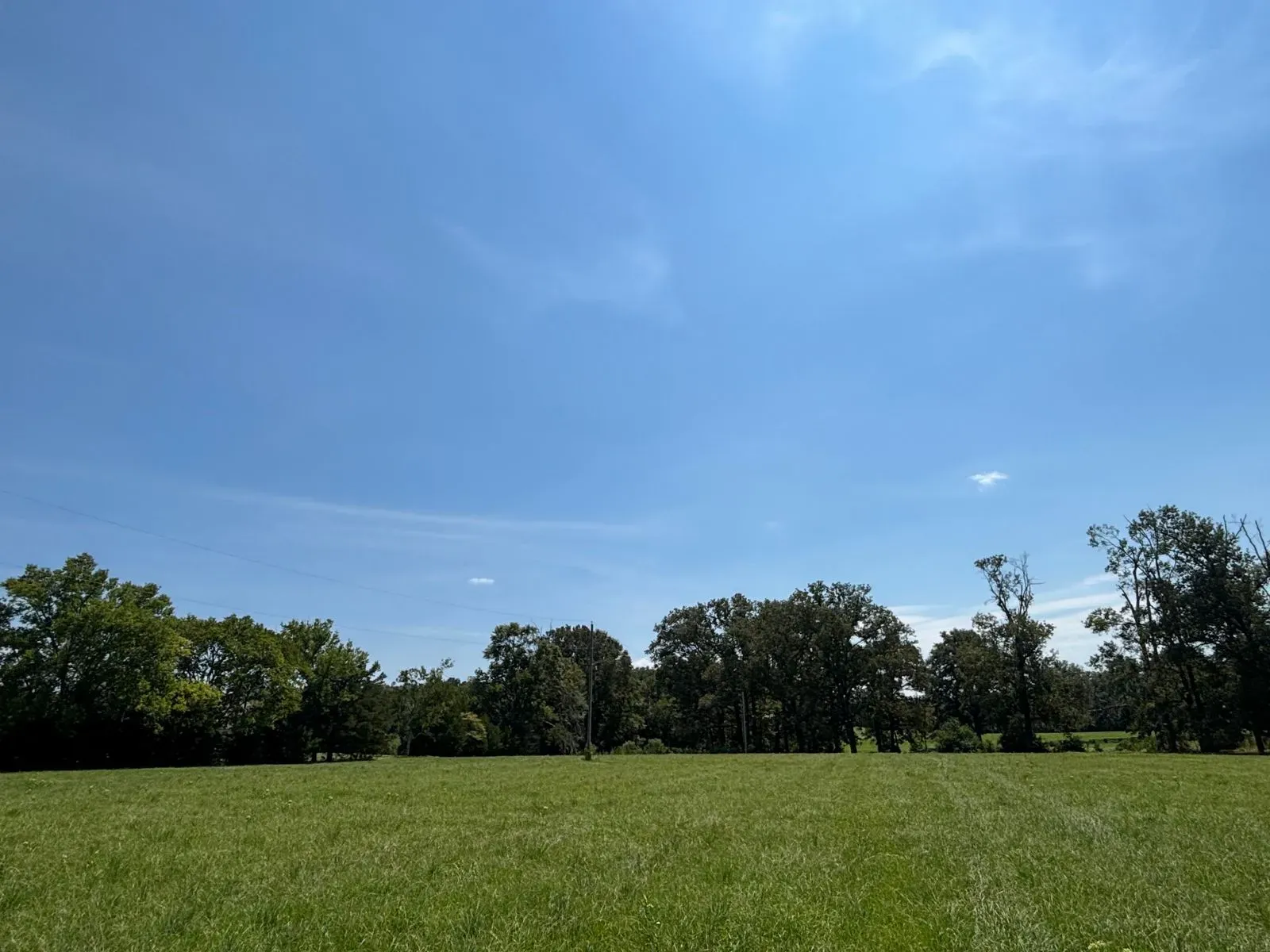 Grid image 2