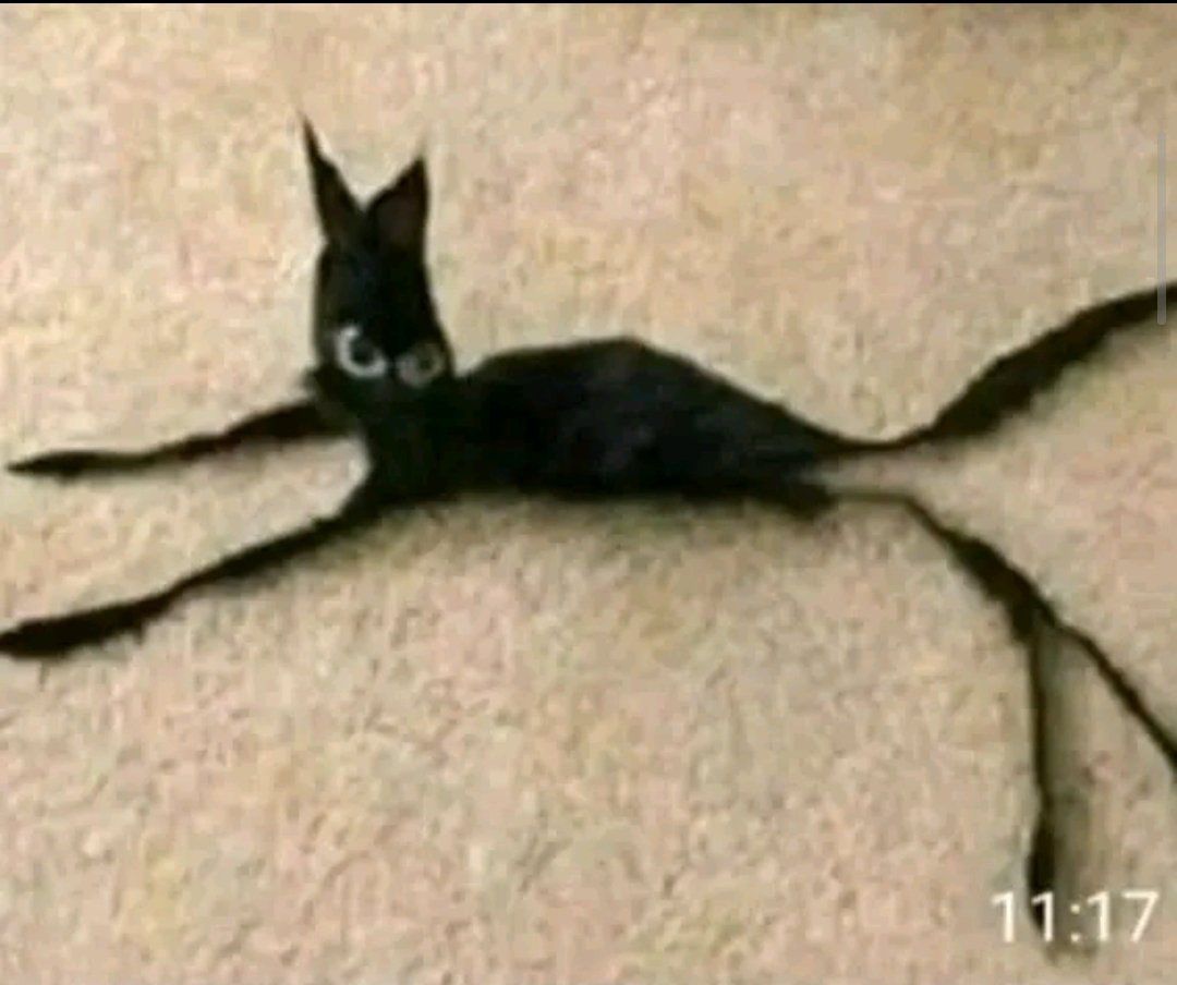 N sei