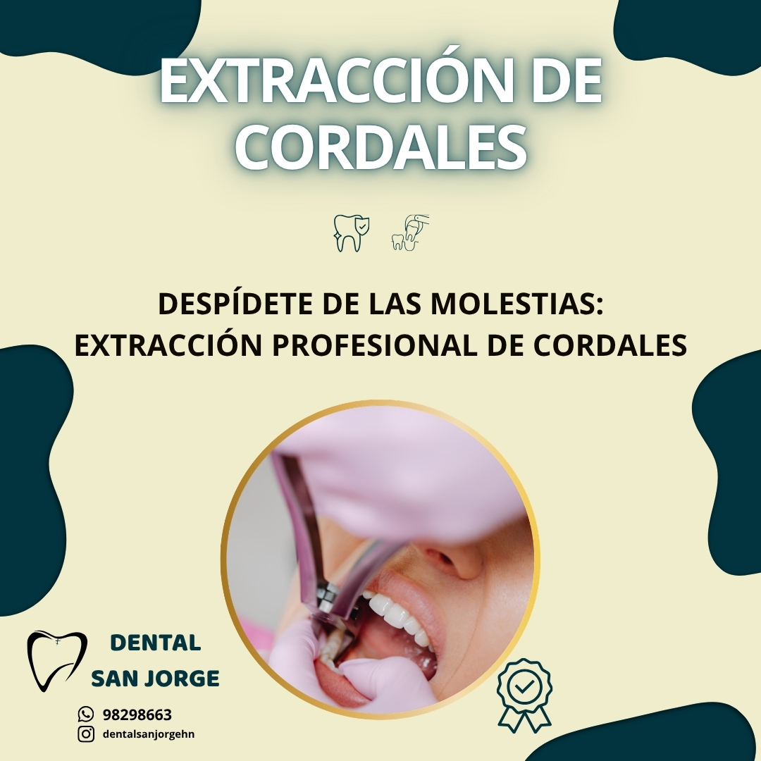 Galería de Dental San Jorge - 6