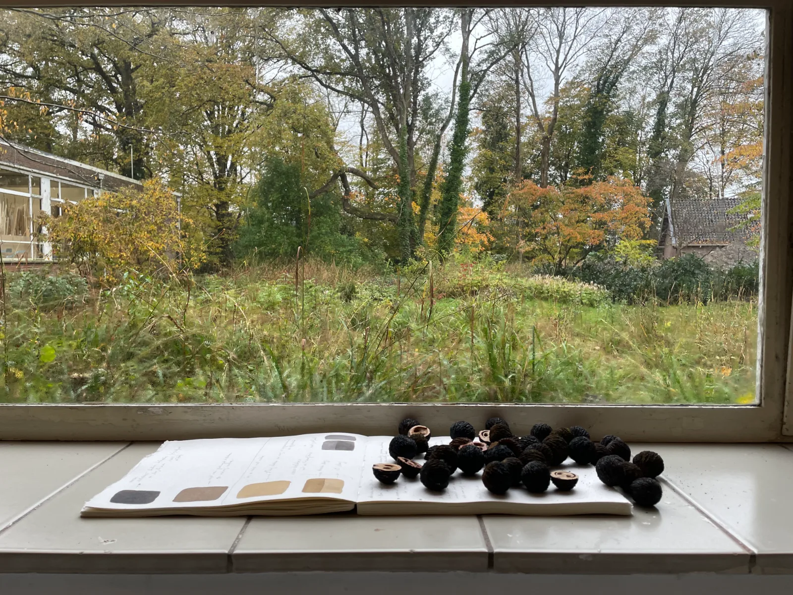 Nanny Esselink - Abscissie