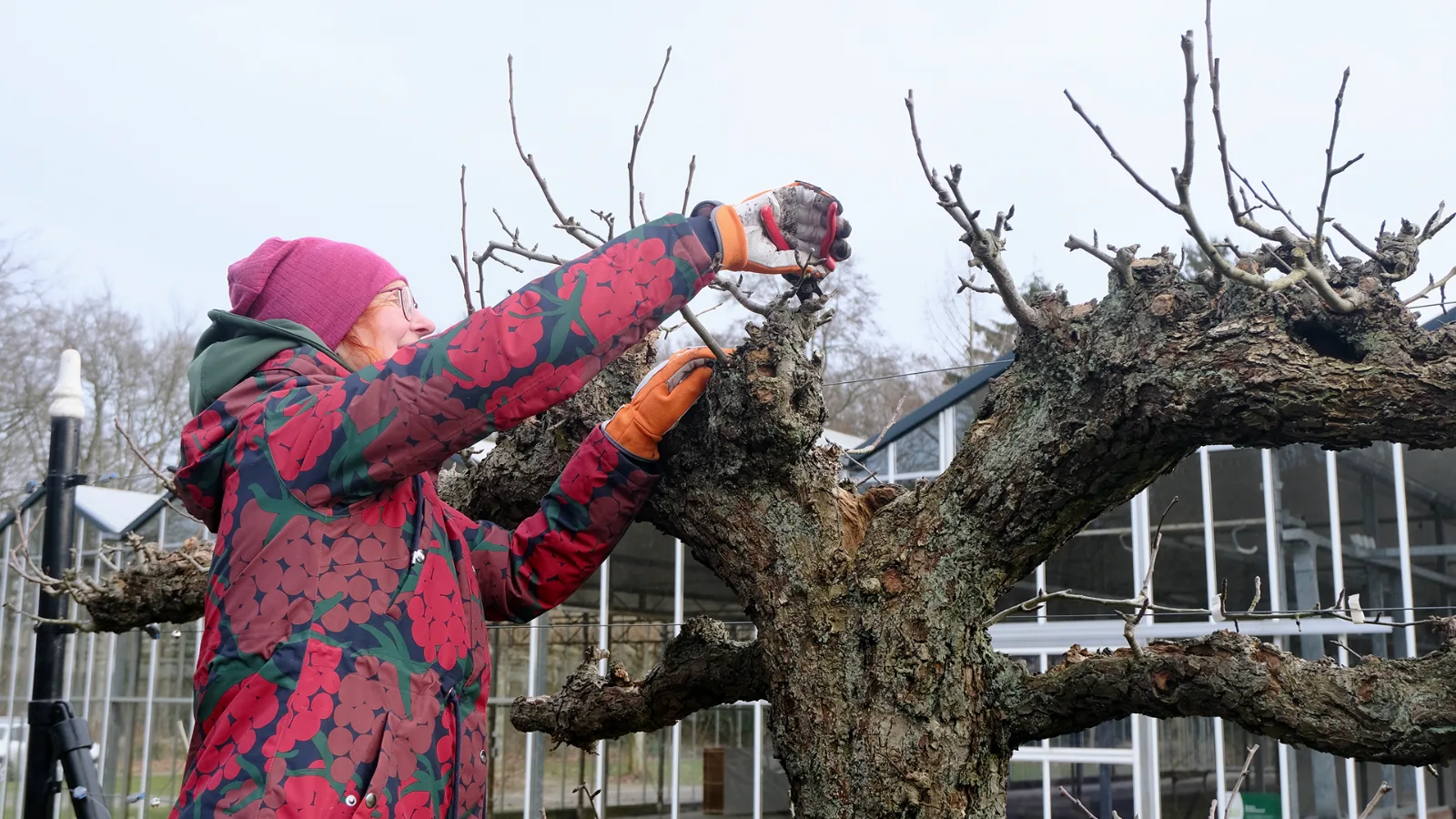 Wereldleifruitdag zaterdag 7 maart 2026