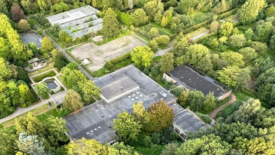 Samengestelde bomen