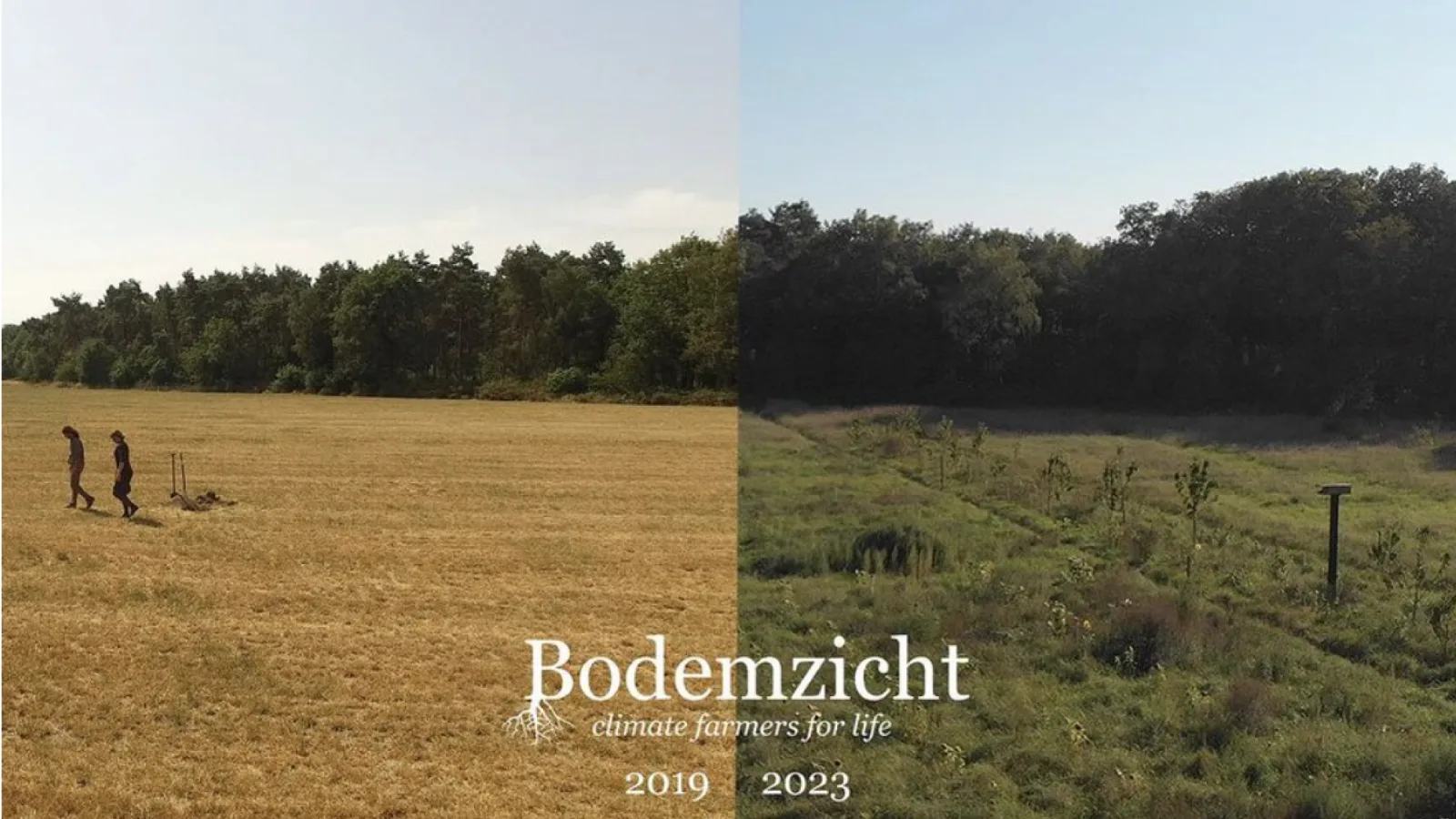 Bodemzicht