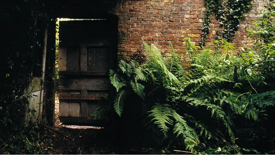 De verloren tuinen van Heligan, Cornwall