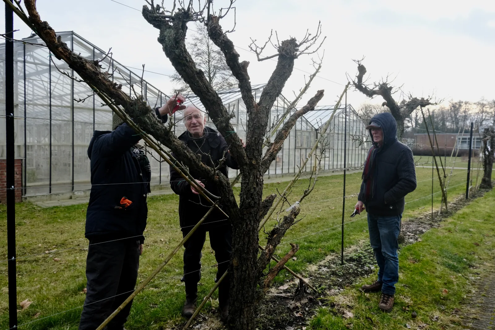 Wereld Leifruitdagen
