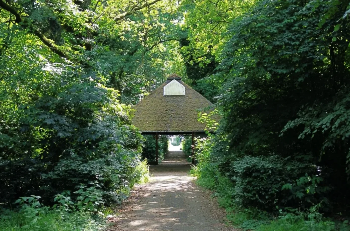 Open Oproep - Ontwerpopdracht: Heractivering van het paviljoen in het verbindingsbos