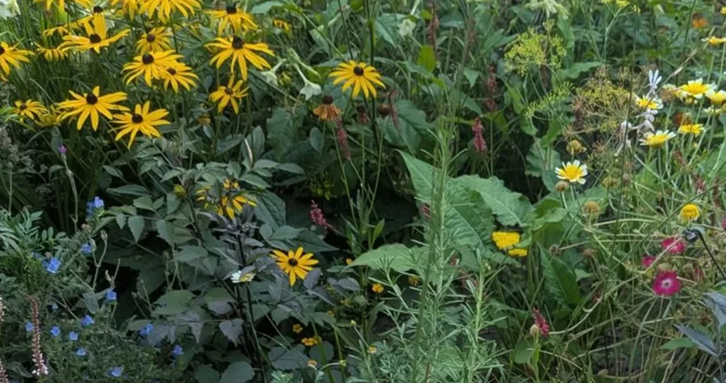 OPEN CALL! Een korte kunst residentie in de prachtige tuinen van De Proef