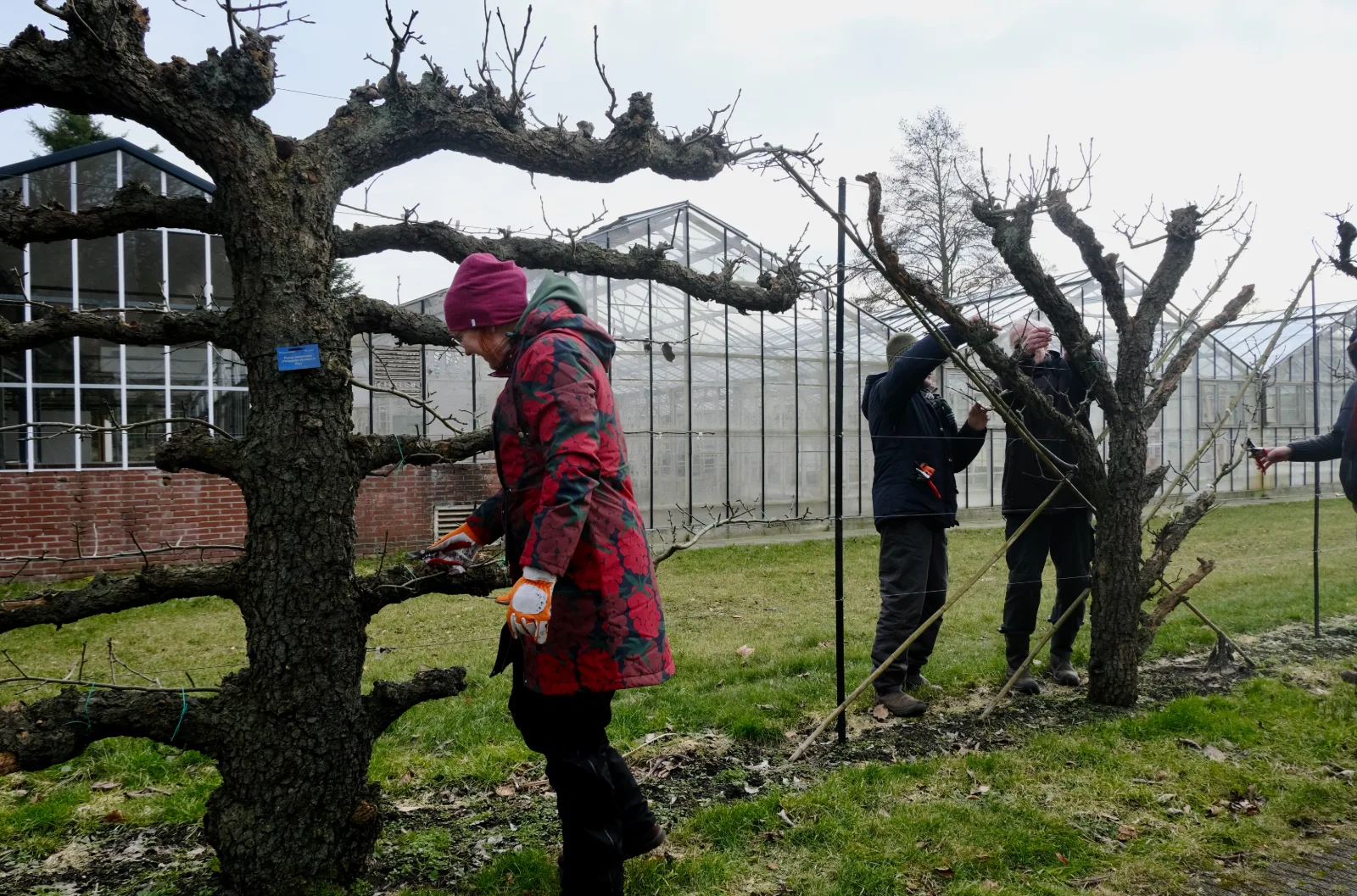 Wereld leifruitdagen - 14 september 2025