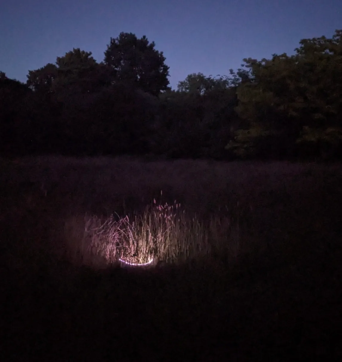 Lauren Thu - Responding to Place through Relational Technologies 