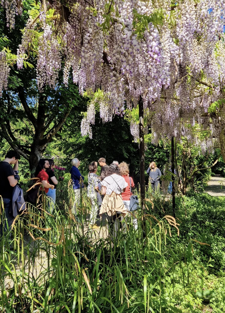 Vouchers - Wildplukworkshop 25€