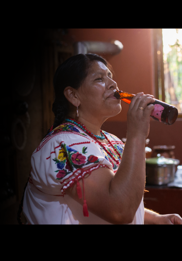 Los Sabores de Michoacán