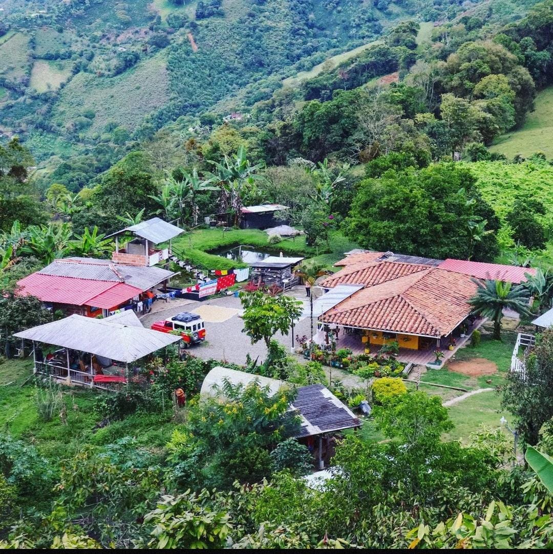 Viña del Tigre 
