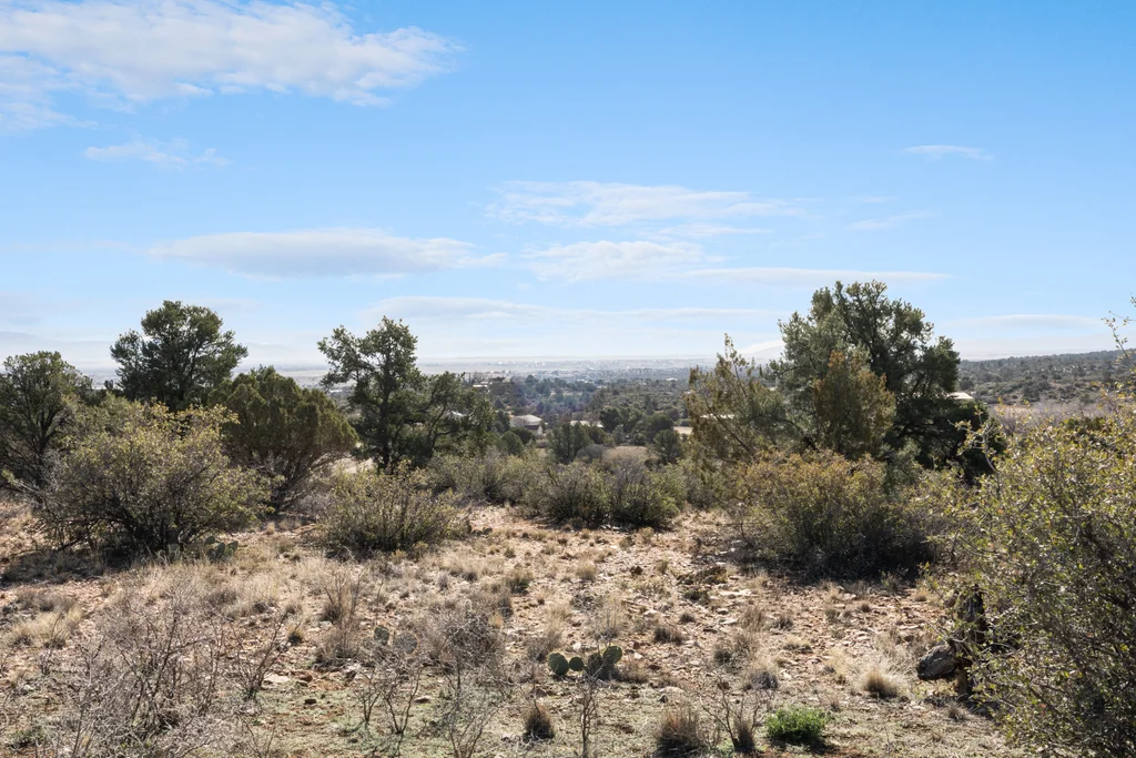 Eastern Views of the City
