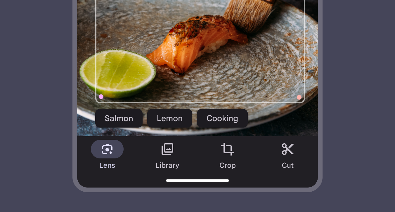 3 suggestion chips offering ID options in a photo-recognition app.