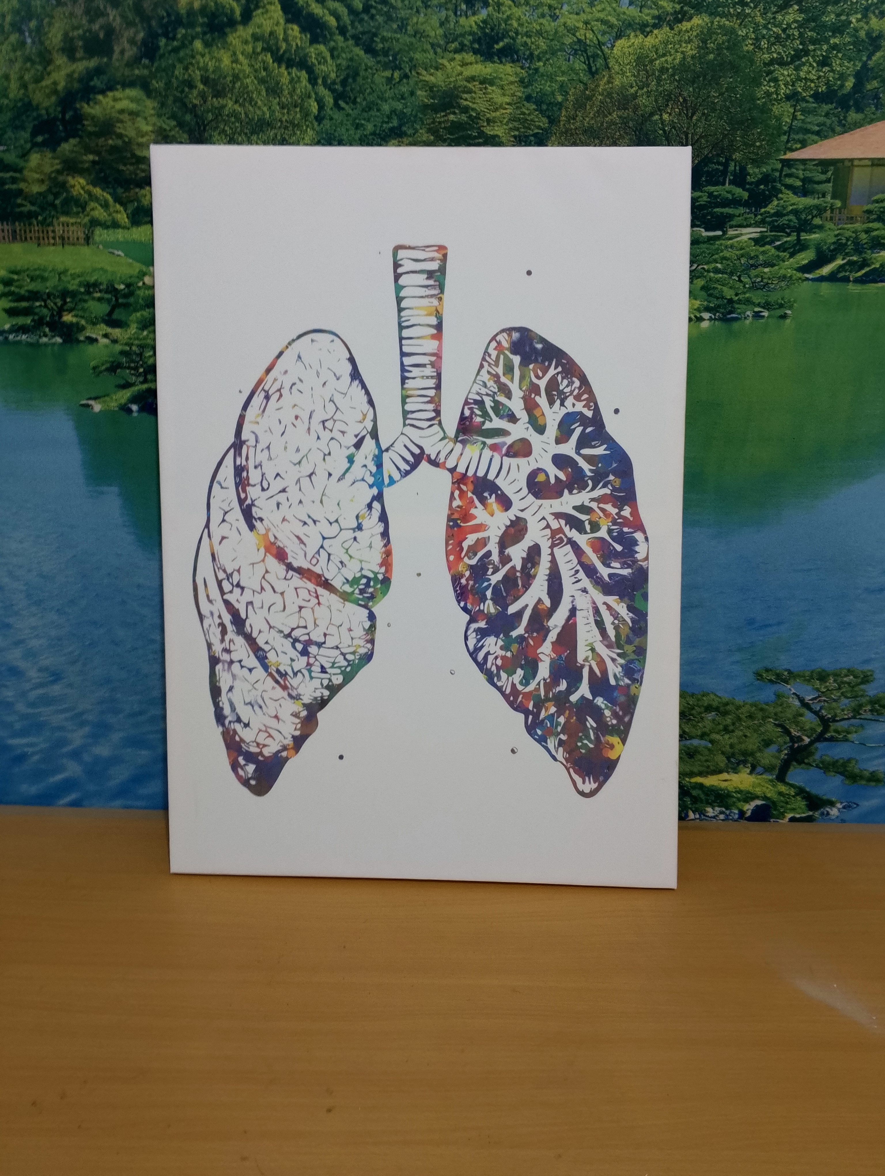 image Canvas