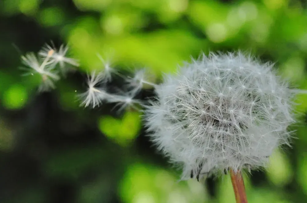 Soirée Conversation : Face à un monde qui se révèle fragile, faut-il chercher à se renforcer ou au contraire apprendre à vivre avec nos faiblesses ?
