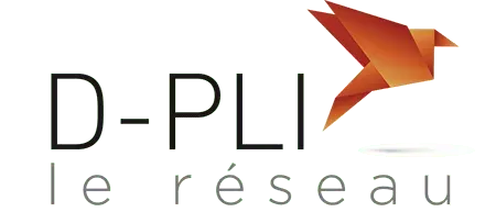 Réseau D-PLI
