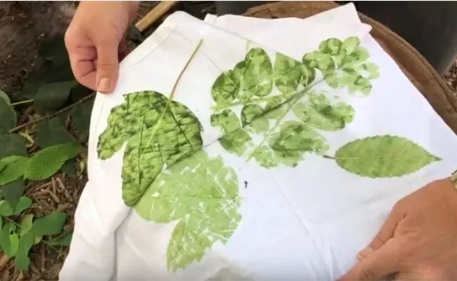 Atelier Enfants "Herbier et empreinte végétale en Tataki zomé"