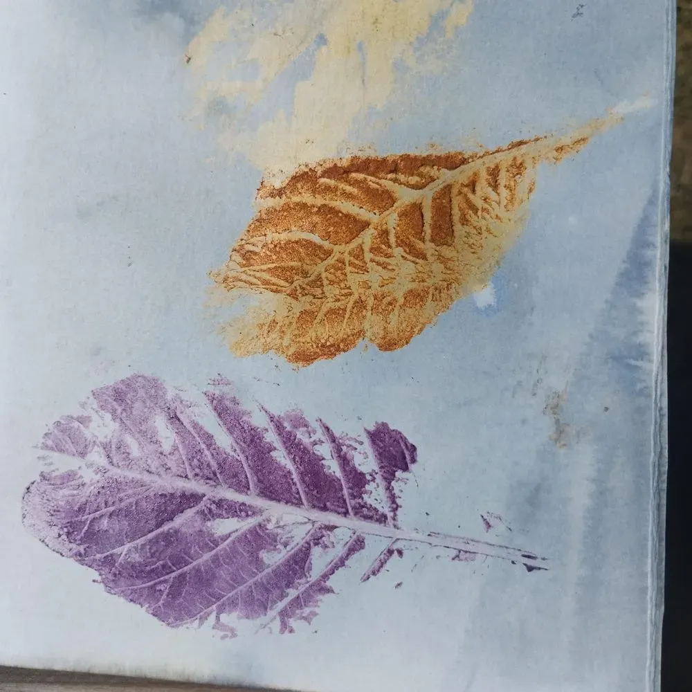 Atelier Enfants - Herbier et empreinte végétale en Tataki zomé