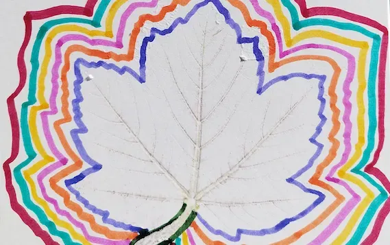 Atelier Enfants "Herbier et empreinte végétale en Tataki zomé"