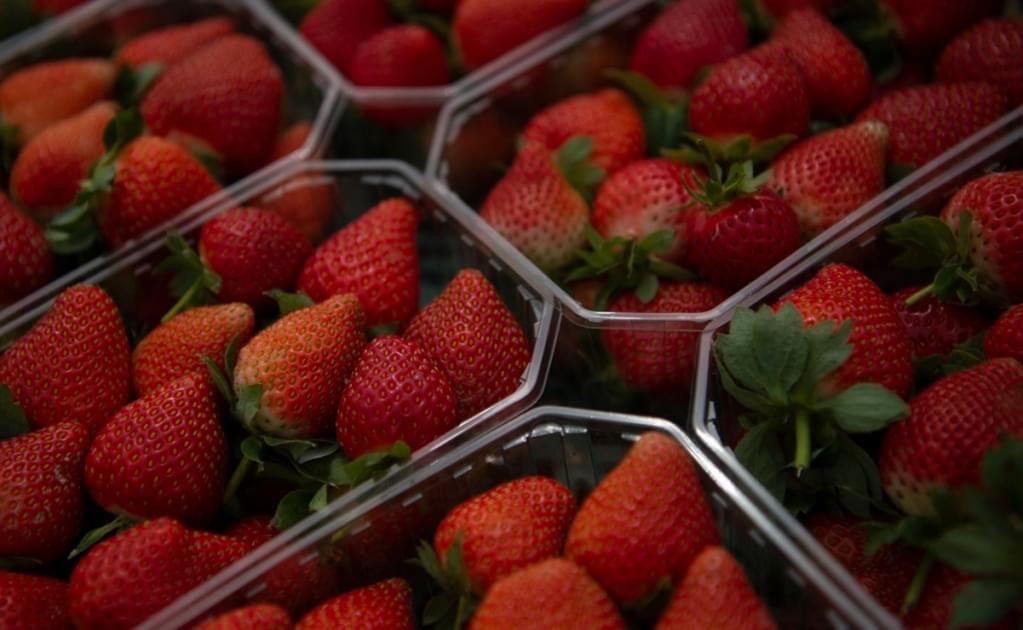 Imagen sobre Vinculan en EU a hepatitis A con fresas mexicanas