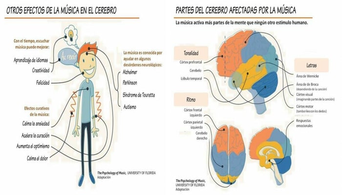 El efecto de la música en el cuerpo - 3