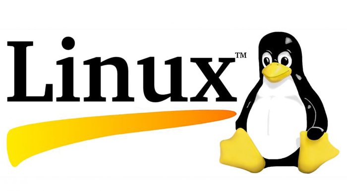Linux: un sistema operativo potente y gratuito 1