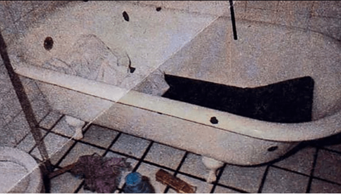 El caso de los Puccio