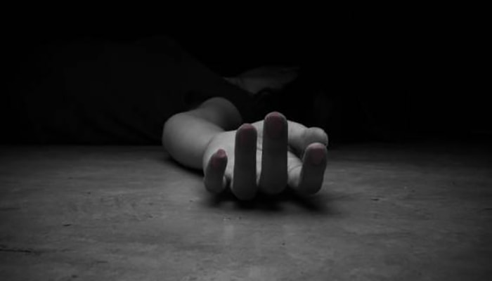 Daisy's destruction | 10