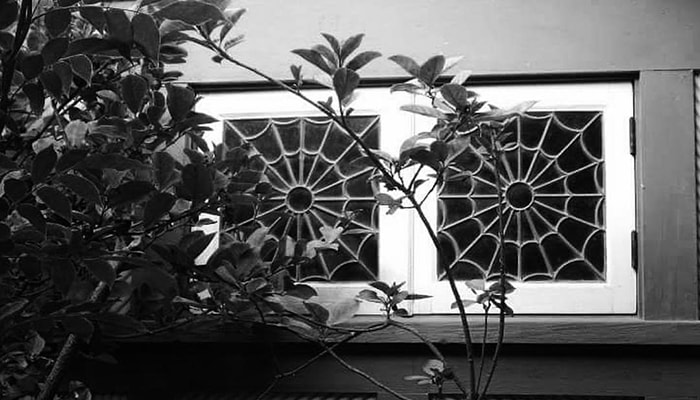 La tenebrosa mansión Winchester 5