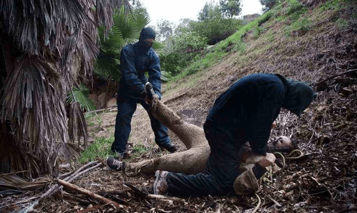 McKamey Manor: La casa de terror más extrema | 12