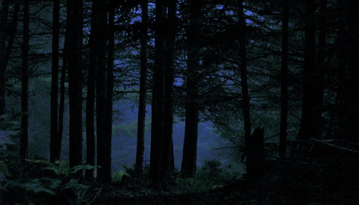 Otros 2 casos de abducción | 11