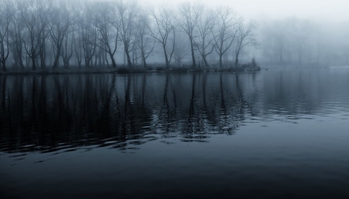 Otros 2 casos de abducción | 12