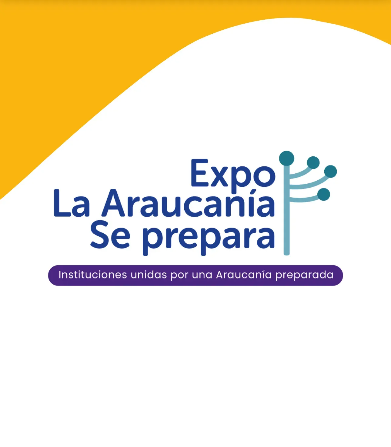 Expo Araucanía Preparada: prevención de emergencias en el SOFO