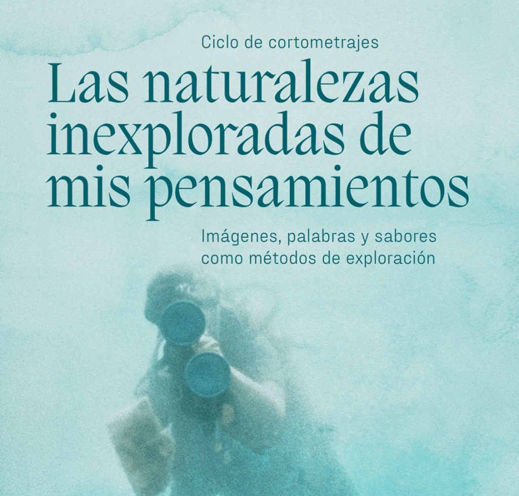 Ciclo de Cine + Conversatorios