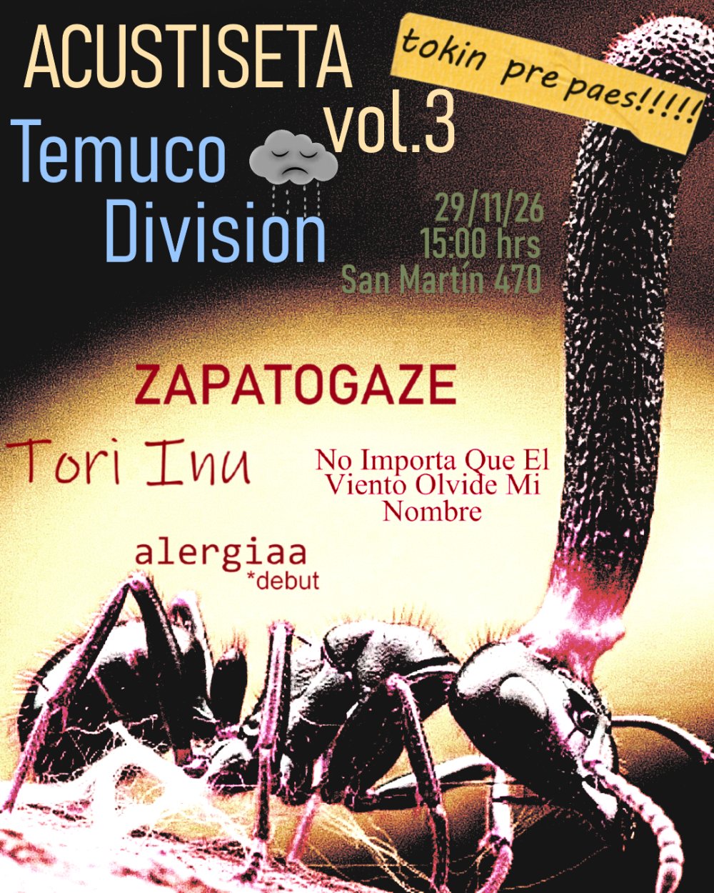 Festival Acustiseta Volumen 3