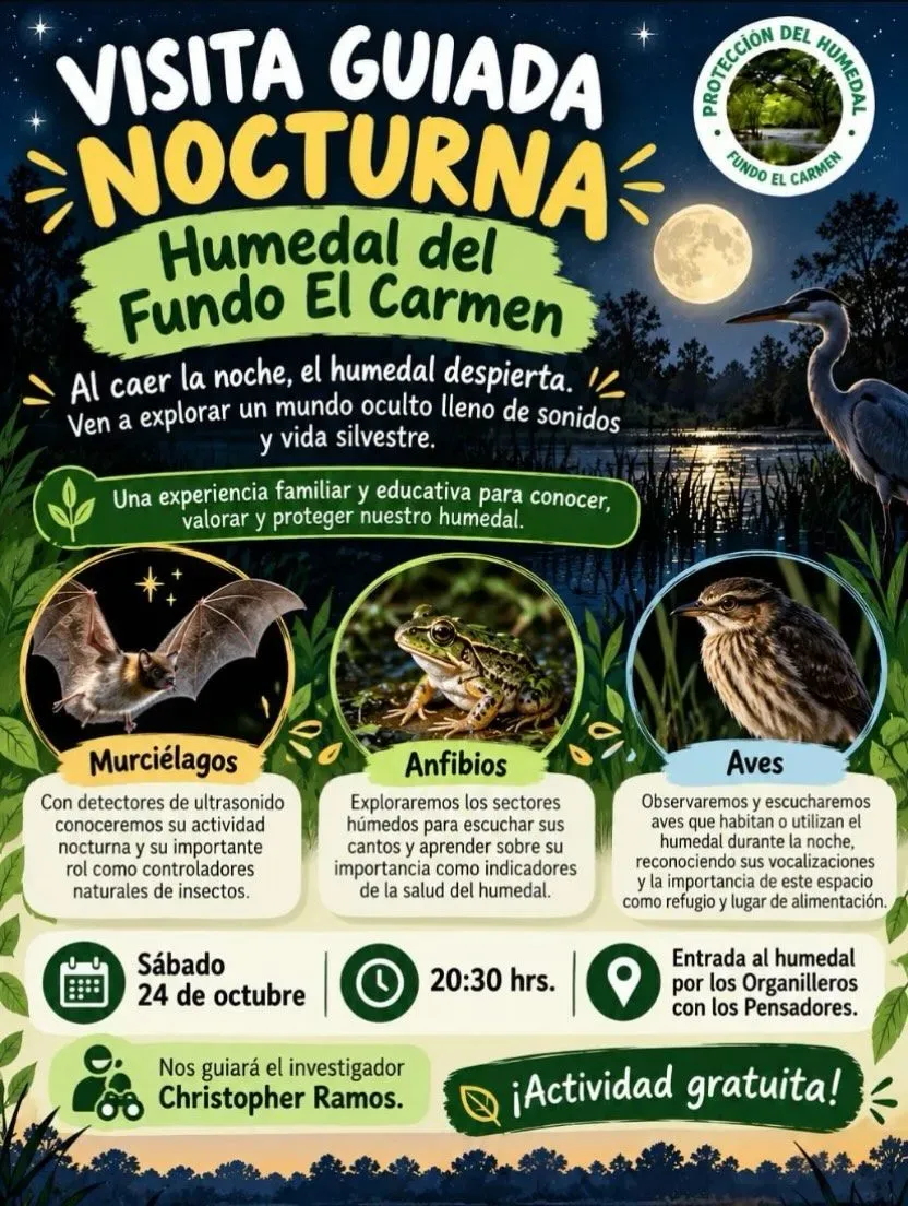 Visita guiada nocturna al humedal del fundo El Carmen