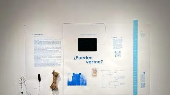 Miradas del Sur: exposición de finalistas del Premio Arte Joven