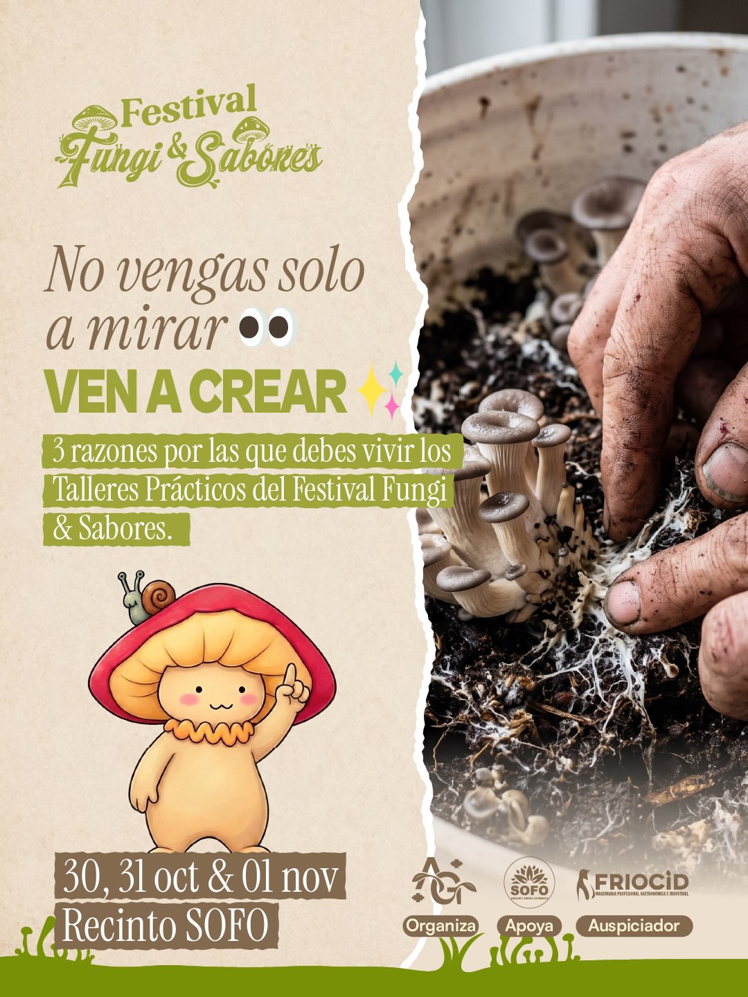 Festival Fungí & Sabores: talleres prácticos sobre el mundo de los hongos en el Recinto SOFO