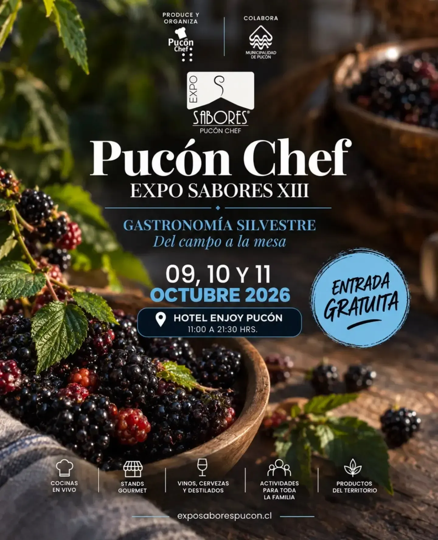Pucon Chef Exposabores XIII Pucón
