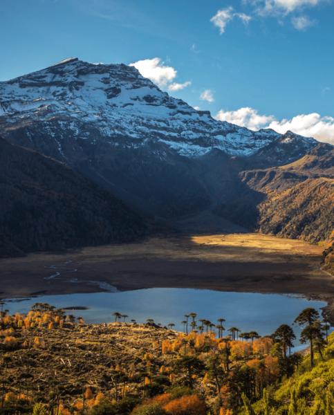 Parque Nacional Tolhuaca